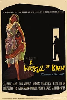 A Hatful Of Rain (1957) afişi
