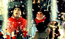 Marty'nin Dünyası fotoğrafı