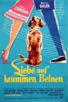 Liebe Auf Krummen Beinen (1959) afişi