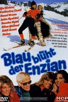 Blau Blüht Der Enzian (1973) afişi