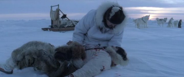 Buzlar Uzerinde Fotoğrafı