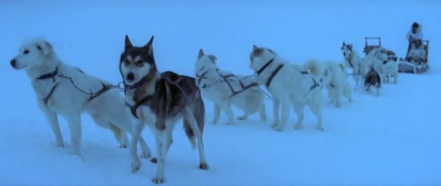 Buzlar Uzerinde Fotoğrafı