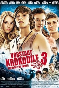Vorstadtkrokodile 3 (2011) afişi