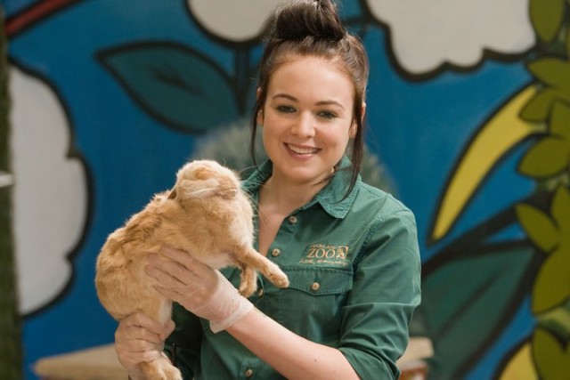 Love Birds Fotoğrafı