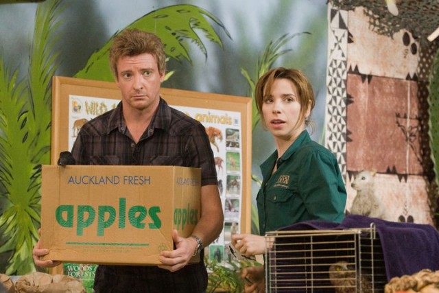 Love Birds Fotoğrafı