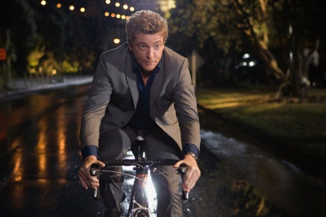 Love Birds fotoğrafı