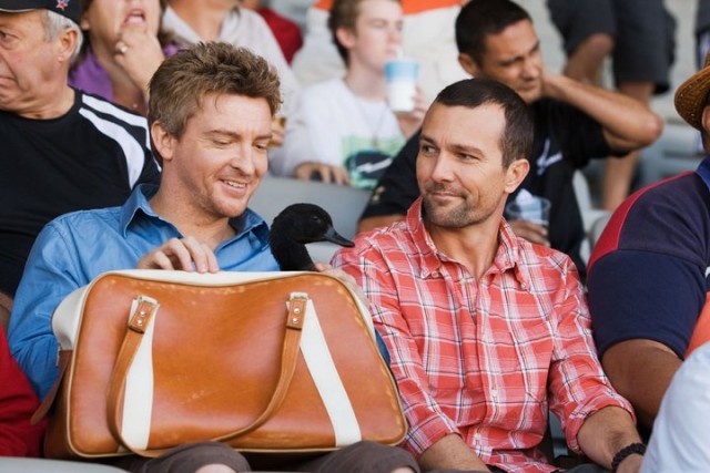 Love Birds fotoğrafı