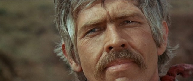 Yabandan Gelen Adam Fotoğrafı