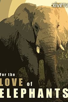 For The Love Of Elephants (2010) afişi