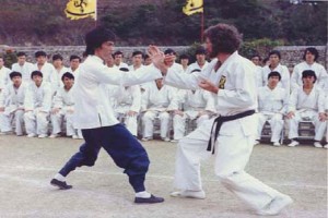 Ejder Kalesi Fotoğrafı