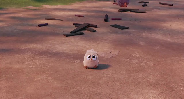 Angry Birds Fotoğrafı