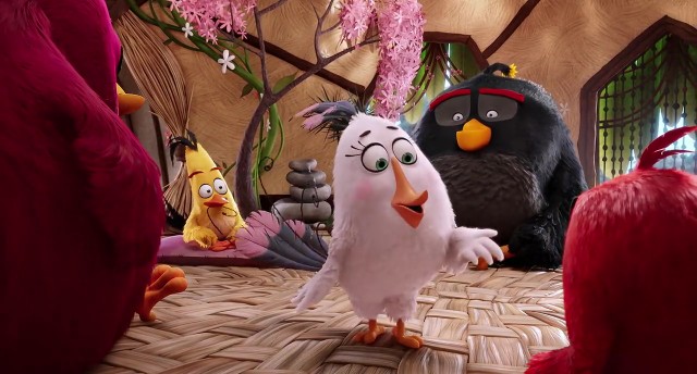 Angry Birds Fotoğrafı