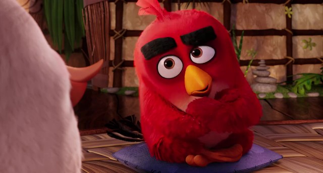 Angry Birds fotoğrafı