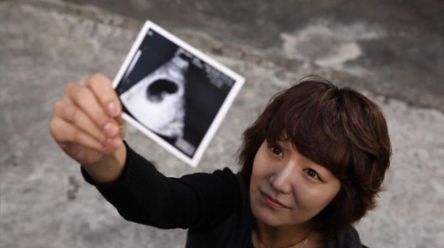 Jungle Fish 2 fotoğrafı