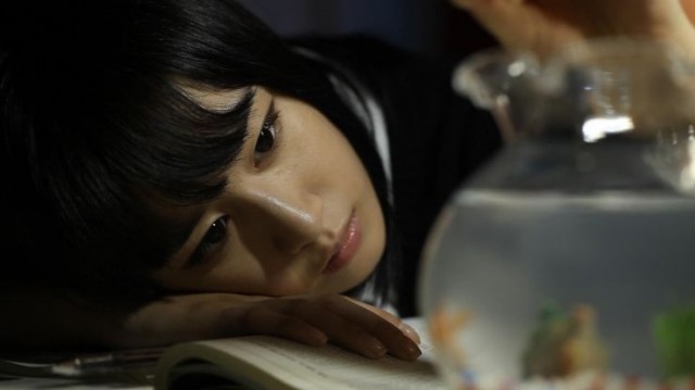 Jungle Fish 2 fotoğrafı