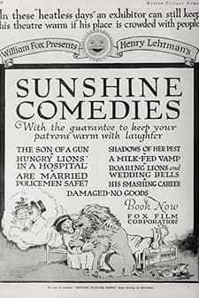 Hungry Lions In A Hospital (1918) afişi