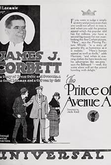 The Prince Of Avenue A (1920) afişi