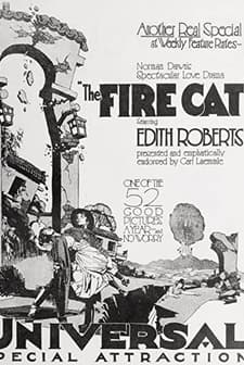 The Fire Cat (1921) afişi