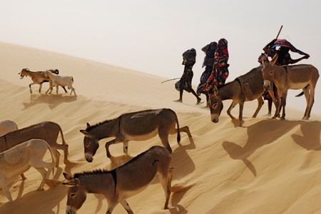 Winds Of Sand, Women Fotoğrafı