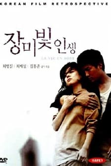 Jangmibit Insaeng (1994) afişi