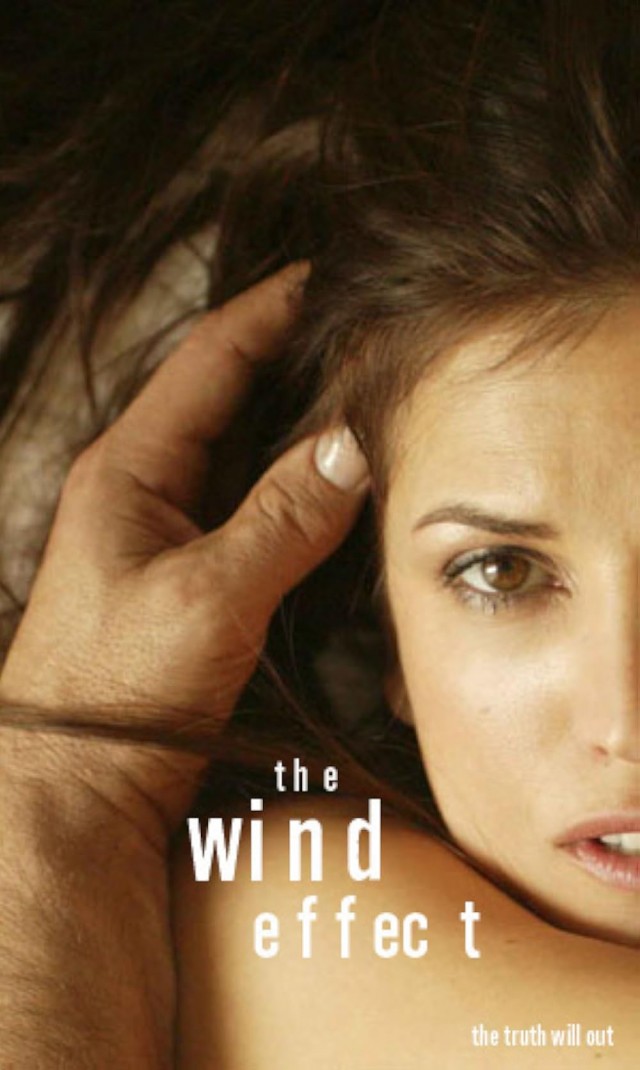 The Wind Effect (2003) afişi