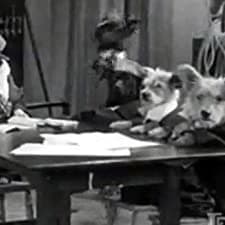 The Two Barks Brothers (1931) afişi