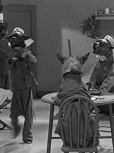 Love-tails Of Morocco (1931) afişi