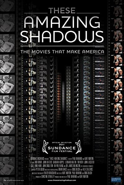 These Amazing Shadows (2011) afişi
