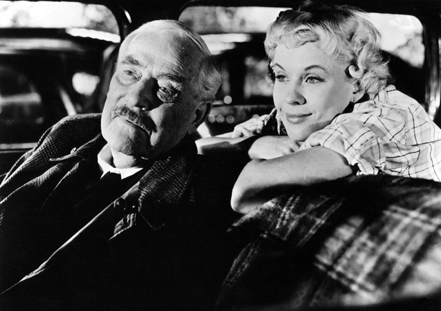 Yaban Çilekleri Fotoğrafı