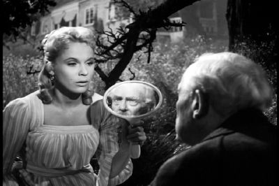 Yaban Çilekleri Fotoğrafı