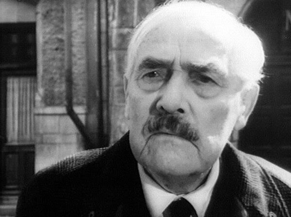 Yaban Çilekleri fotoğrafı