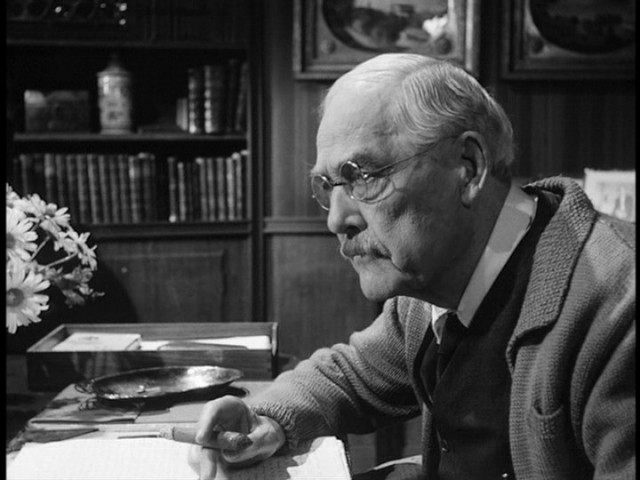 Yaban Çilekleri Fotoğrafı