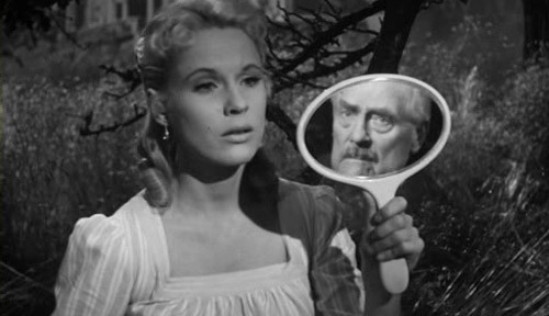 Yaban Çilekleri Fotoğrafı