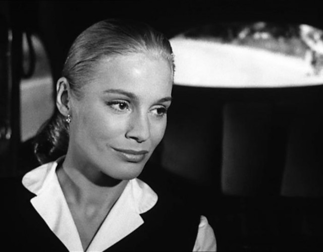 Yaban Çilekleri Fotoğrafı