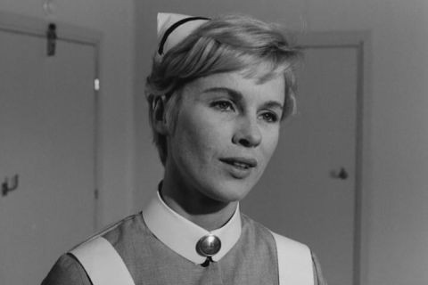 Yaban Çilekleri Fotoğrafı