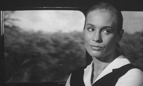 Yaban Çilekleri Fotoğrafı