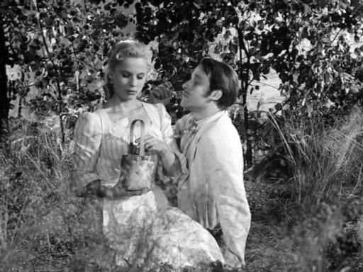 Yaban Çilekleri Fotoğrafı