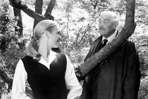 Yaban Çilekleri Fotoğrafı