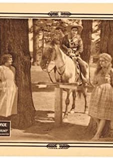 Sparks Of Flint (1921) afişi