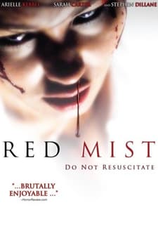 Kırmızı Sis (2008) afişi