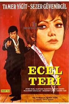 Ecel Teri (1970) afişi