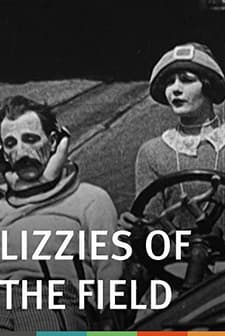 Lizzies Of The Field (1924) afişi
