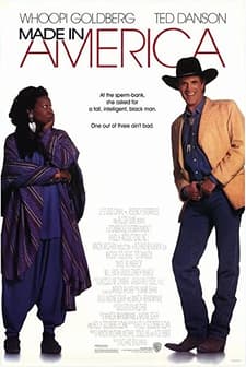 Made in America (1993) afişi