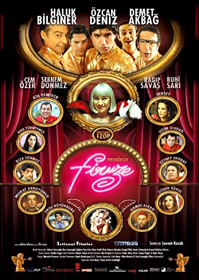 Neredesin Firuze (2004) afişi