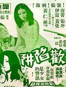 Tou Huan Xian Jing (1972) afişi