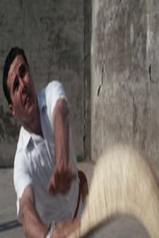 Pelotari (1964) afişi