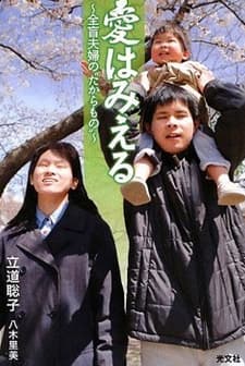 Ai Wa Mieru (2010) afişi