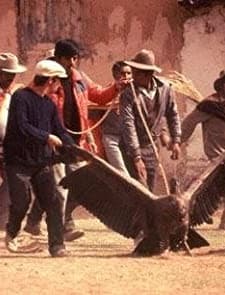 Apu Condor (the Condor God) (1992) afişi