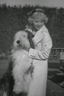 A Trip Thru A Hollywood Studio (1935) afişi