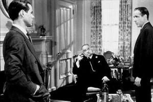 Malta Şahini Fotoğrafı